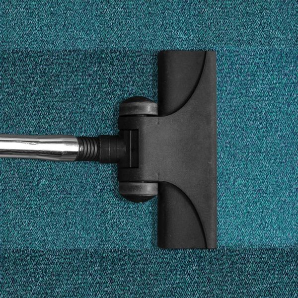 professional carpet cleaning professional carpet cleaning
