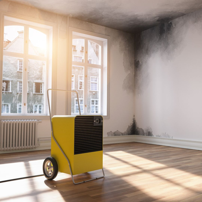 Blog - Dehumidification.jpg
