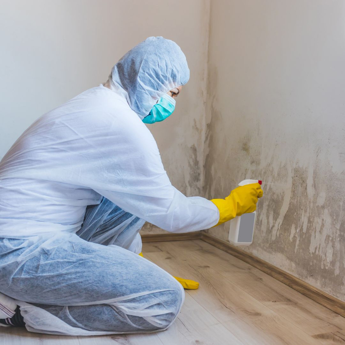 person removing mold. person removing mold.