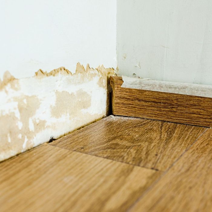 damaged floorboards