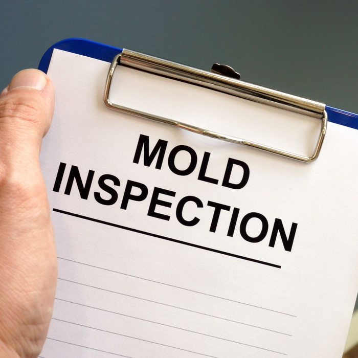 mold inspection.