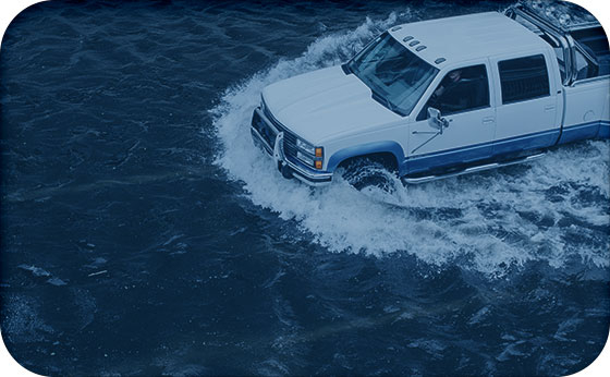image-vid-5d49a2844ab33.jpg