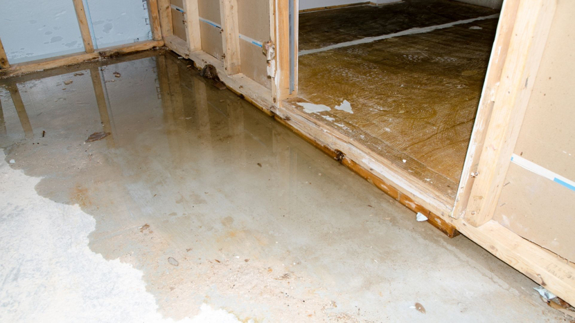 The Silent Killer in Your Walls 4 Early Signs of Water Damage Most Las Vegas Homeowners Miss.jpg