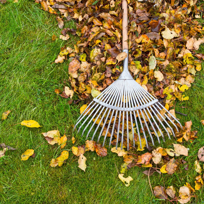 raking up leaves 1080x1080-ProtectingHomeFromWind3.jpg
