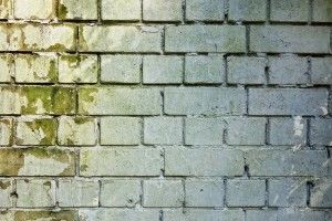 brick-wall-3194516_1280-300x200.jpg