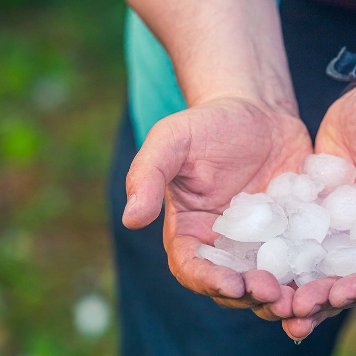 hand full of hail