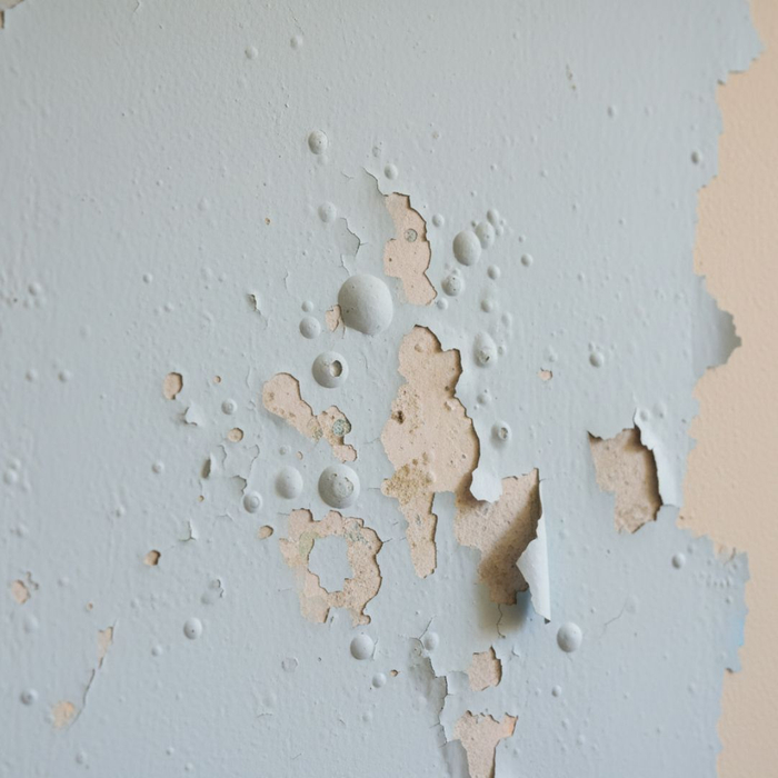 2 The Silent Killer in Your Walls_ 4 Early Signs of Water Damage Most Las Vegas Homeowners Miss.jpg