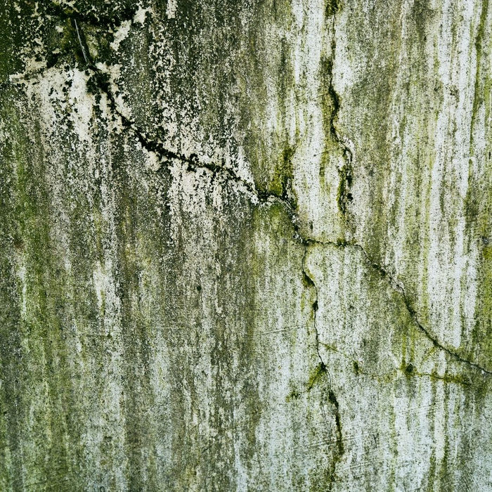 moldy wall