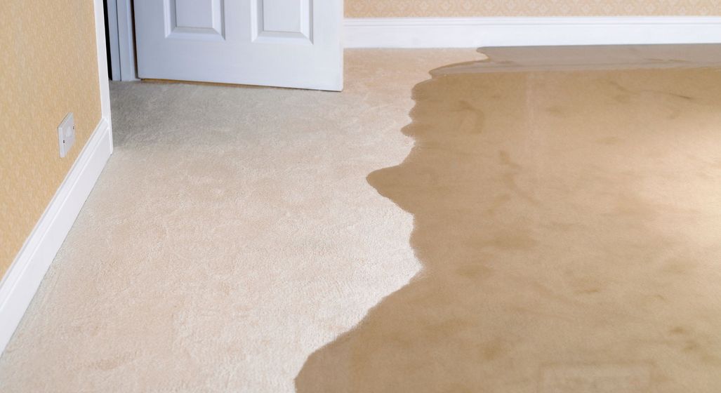 flooding on carpet