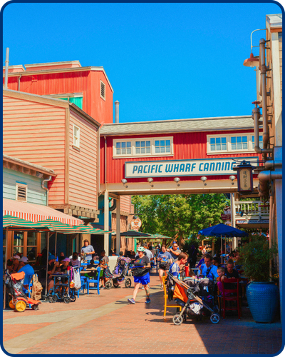 Disneyland Image - 1.png