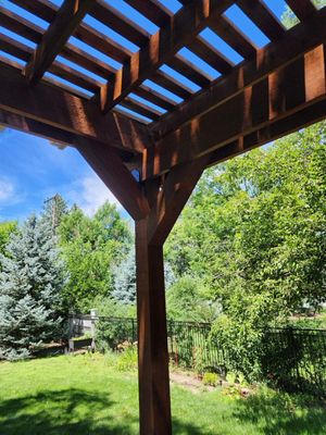 20230727_123941 Large.jpeg