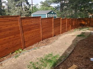 Resized_Resized_20240513_170511 Large.jpeg