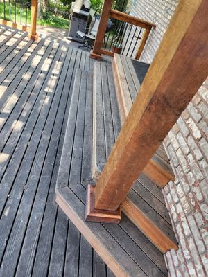 20230727_123923 Large.jpeg