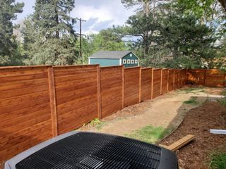 Resized_Resized_20240513_170410 Large.jpeg