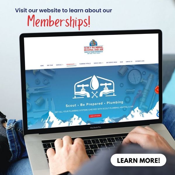 image of companies membership page loaded on a laptop