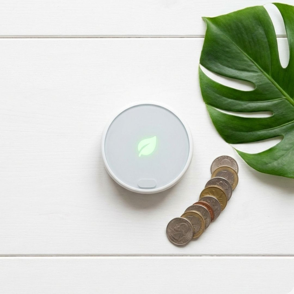 A smart thermostat placed next to coins and a green leaf representing energy savings.