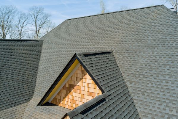 shingles (1).jpg