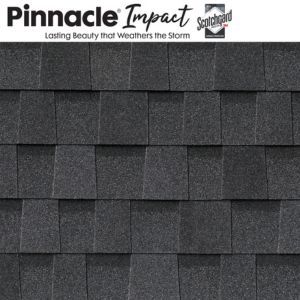 pinnacle black.jpg