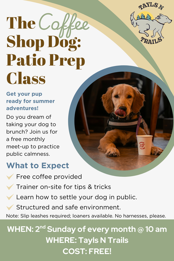 The Coffee Shop Dog Patio Prep Class.png