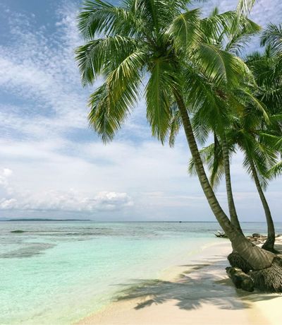Palm trees lean over a white sand beach and clear turquoise water under a blue sky with scattered clouds.