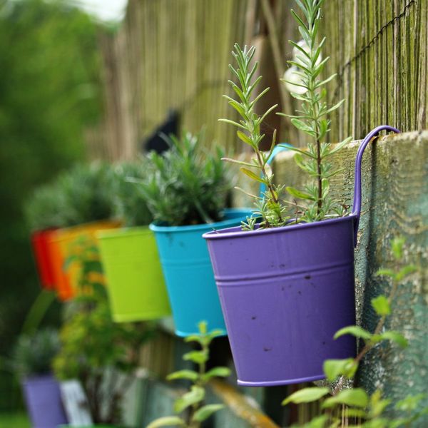 Integrating Edible Landscapes_ Growing Fruits and Vegetables Aesthetically - 2.jpg