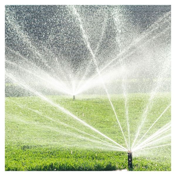 The Importance Of High-Quality Irrigation 3.jpg