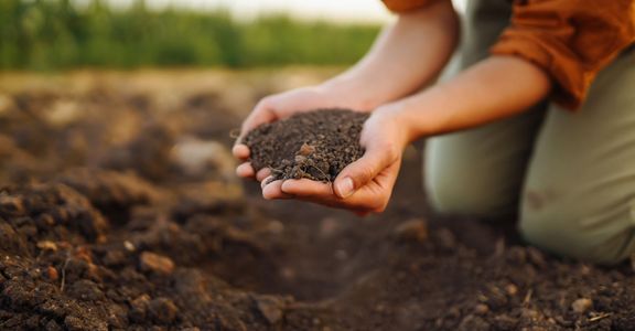Understanding Soil Types How to Choose the Right Plants for Your Grounds  - hero.jpg