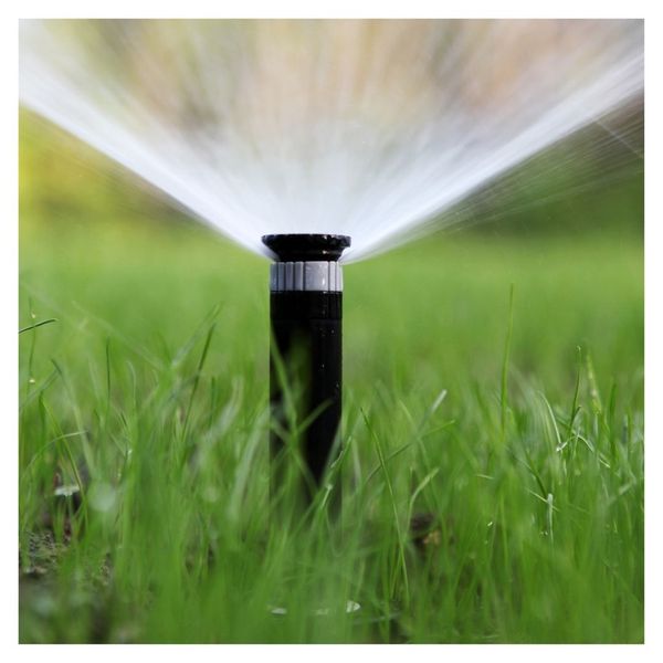 The Importance Of High-Quality Irrigation 1.jpg