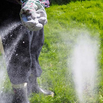 Man fertilizing a green lawn