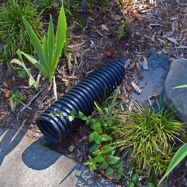 Drain emerging from soil