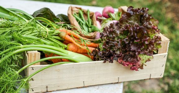 Integrating Edible Landscapes Growing Fruits and Vegetables Aesthetically  - hero.jpg