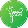 pruning icon