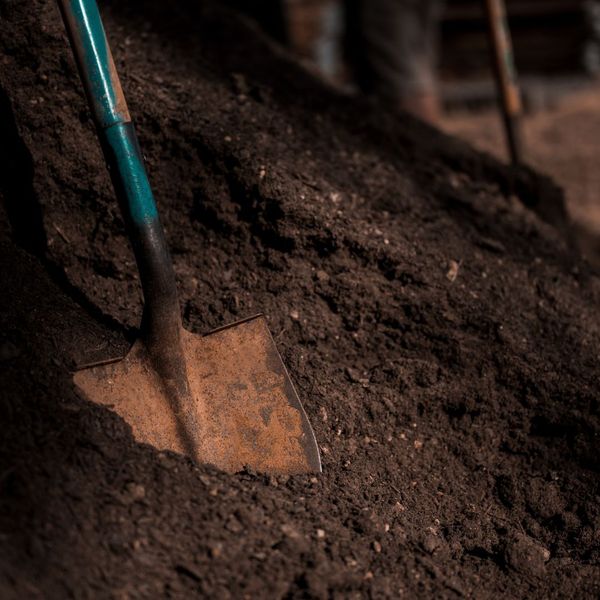 Understanding Soil Types_ How to Choose the Right Plants for Your Grounds - 4.jpg