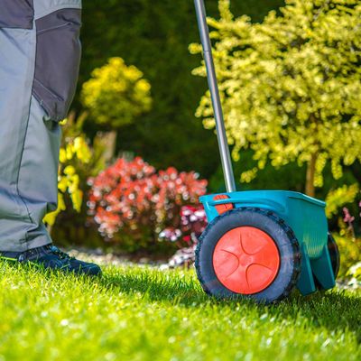 Man seeding a green lawn with tool