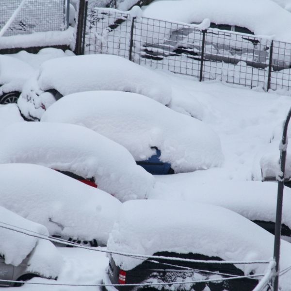 Snow resting on vehicles in a parking lot