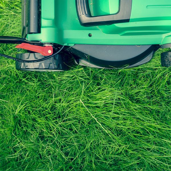 Mowing can be a cost added monthly to your budget 