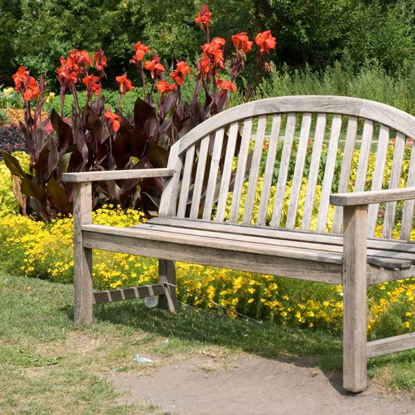 bench in landscaping area