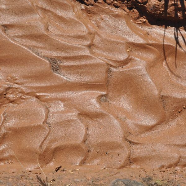 Understanding Soil Types_ How to Choose the Right Plants for Your Grounds - 2.jpg