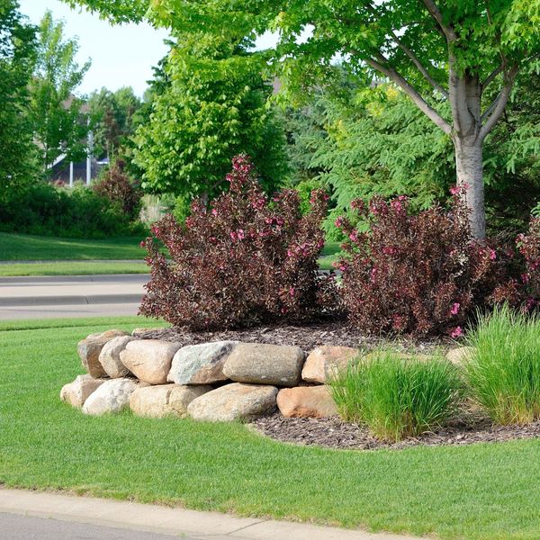 Trees and bushes planted behind a retaining wall