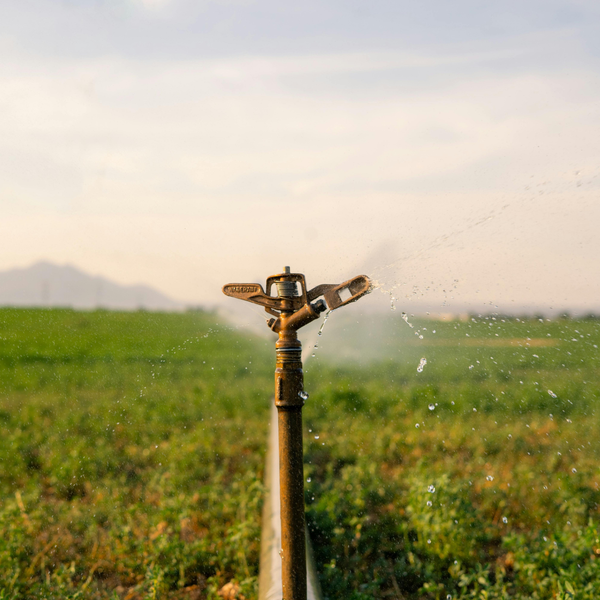 Winter-Proofing Your Commercial Irrigation System2.png