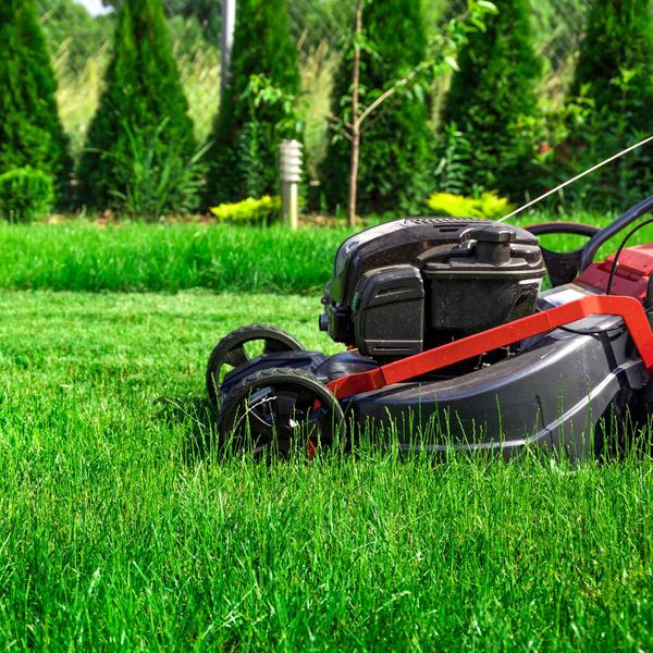 person mowing a yard