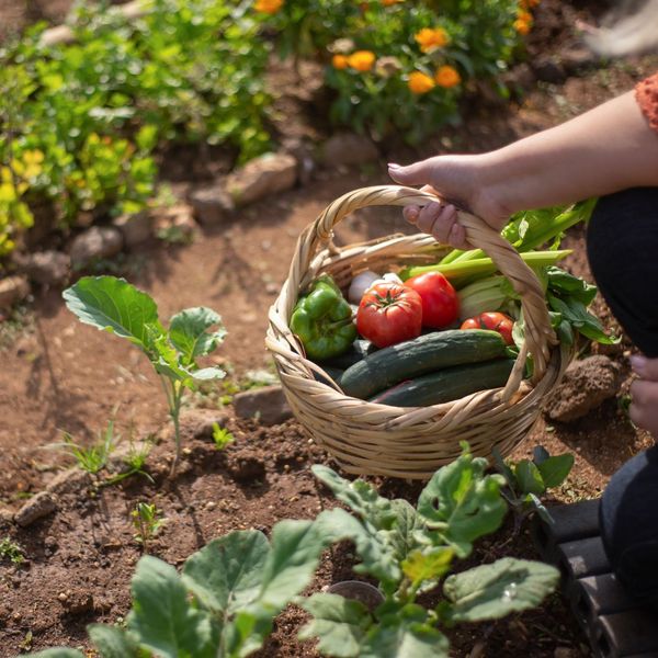Integrating Edible Landscapes_ Growing Fruits and Vegetables Aesthetically - 3.jpg