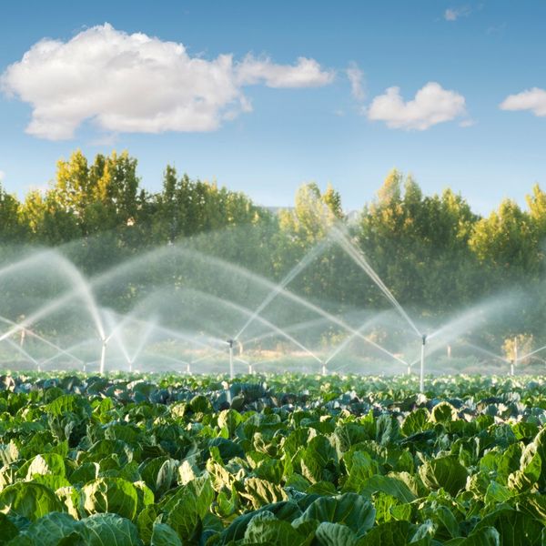 commercial irrigation system