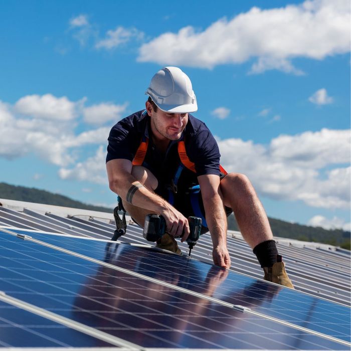 professional maintaining solar panels
