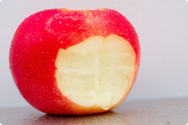 Dental Implants in New Port Richey Florida 5.jpg