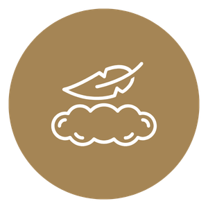 Dental Implants - Icon 1 (2).png