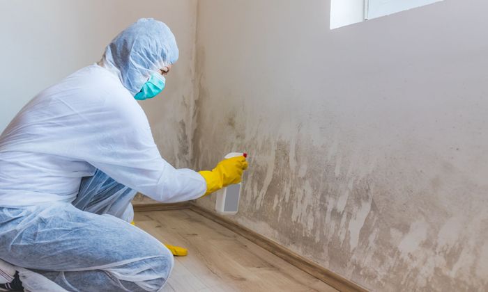 Mold Remediation Carver County Img1.jpg