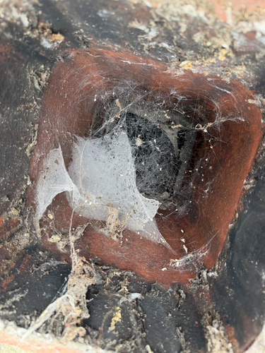 Safe Air Solutions Charleston Chimney cleaning.png