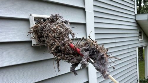 Real Dryer Vent Lint Clump Removal