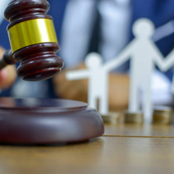 Legal Protection in Domestic Violence Cases3.png
